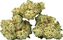 Burmese Ksh