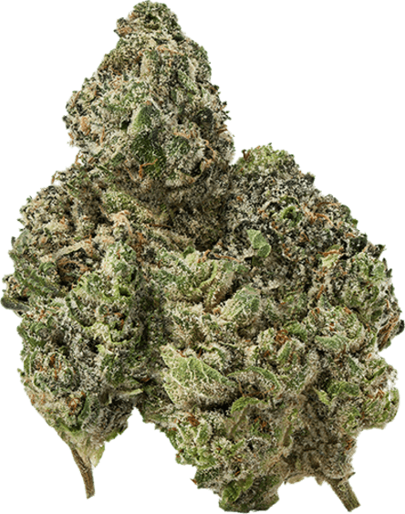 ColdFusion image 1
