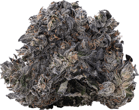 Mnt Diesel image 1