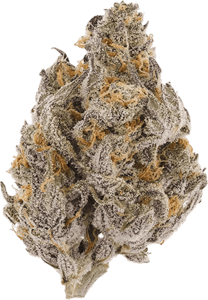 Wedding Kush